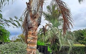 Tui Glade Bed And Breakfast